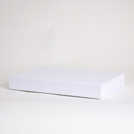 Wonderbox-EVOLUTION (22x16x3 cm) Wonderbox-EVOLUTION (22x16x3 cm)