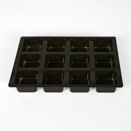 Wonderbox-EVOLUTION (22x16x3 cm) Wonderbox-EVOLUTION (22x16x3 cm)