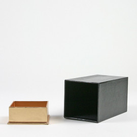 SNAKE BOX SNAKE BOX