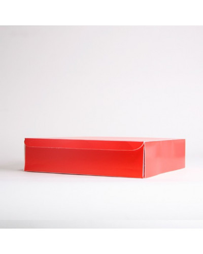 Scatola Catering Homer (30*30*10)