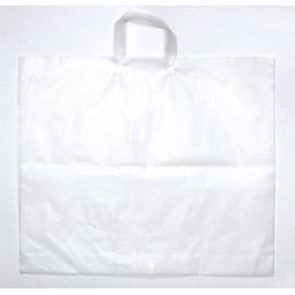 Translucent bag