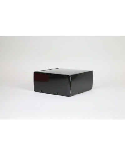 Versandschachtel POSTPACK glänzend (GEEIGNET FÜR WONDERBOX UND EVOBOX)