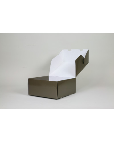 Versandschachtel POSTPACK glänzend (GEEIGNET FÜR WONDERBOX UND EVOBOX)