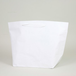 Bolsa de Papel Cemento Bolsa de Papel Cemento