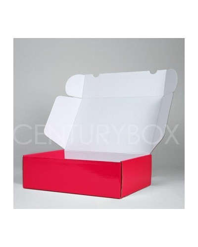 Versandschachtel POSTPACK glänzend (GEEIGNET FÜR WONDERBOX UND EVOBOX)