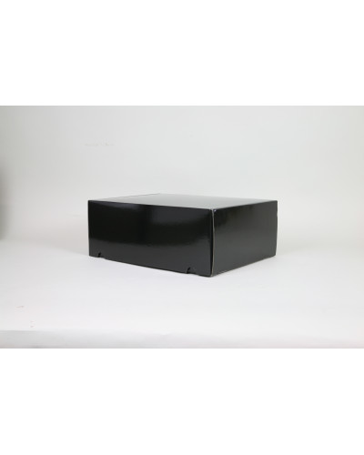 Versandschachtel POSTPACK glänzend (GEEIGNET FÜR WONDERBOX UND EVOBOX)