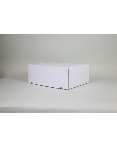 Versandschachtel POSTPACK glänzend (GEEIGNET FÜR WONDERBOX UND EVOBOX)