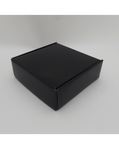Versandschachtel POSTPACK glänzend (GEEIGNET FÜR WONDERBOX UND EVOBOX)