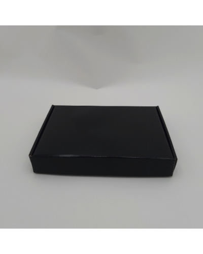Versandschachtel POSTPACK glänzend (GEEIGNET FÜR WONDERBOX UND EVOBOX)
