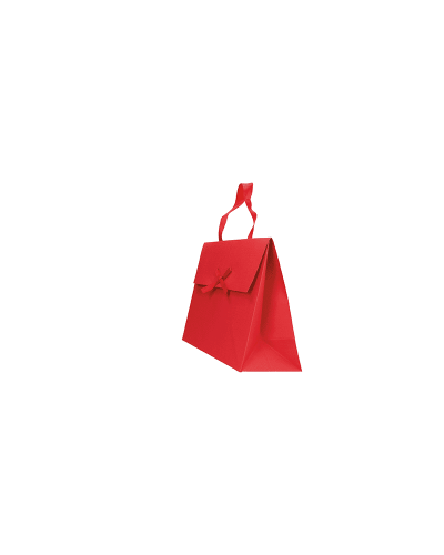 Gift bag with Kelly handles