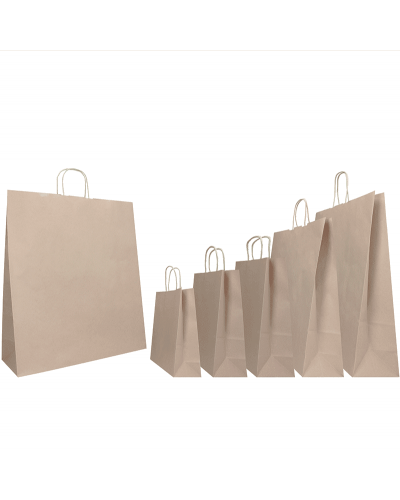copy of Twisted handles bag