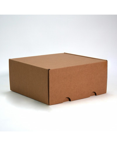 Postpack - natural kraft expedition box - For WONDERBOX