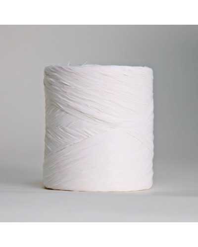 Raffia ribbon